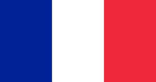 FRANCE Flag - Battle of Warships